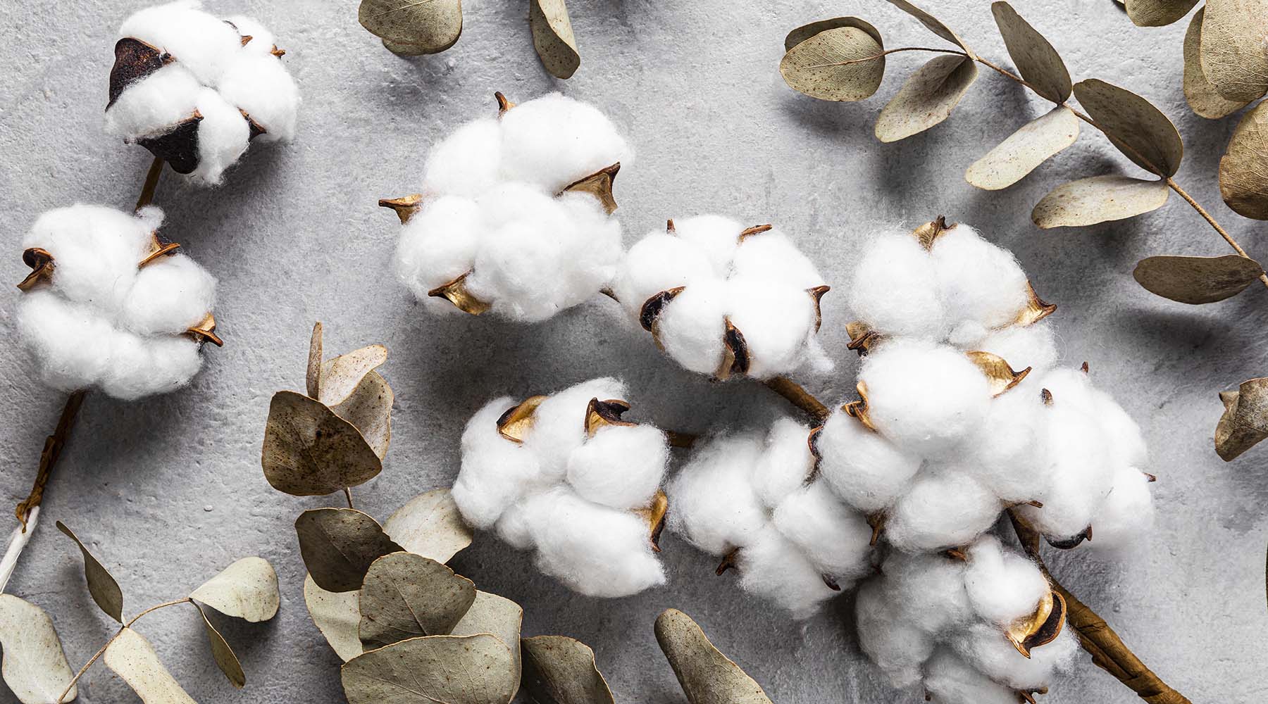 The future of fashion - why organic cotton matters