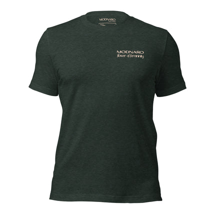 Soft & Lightweight Women's T-Shirt – Flower of Femininity II